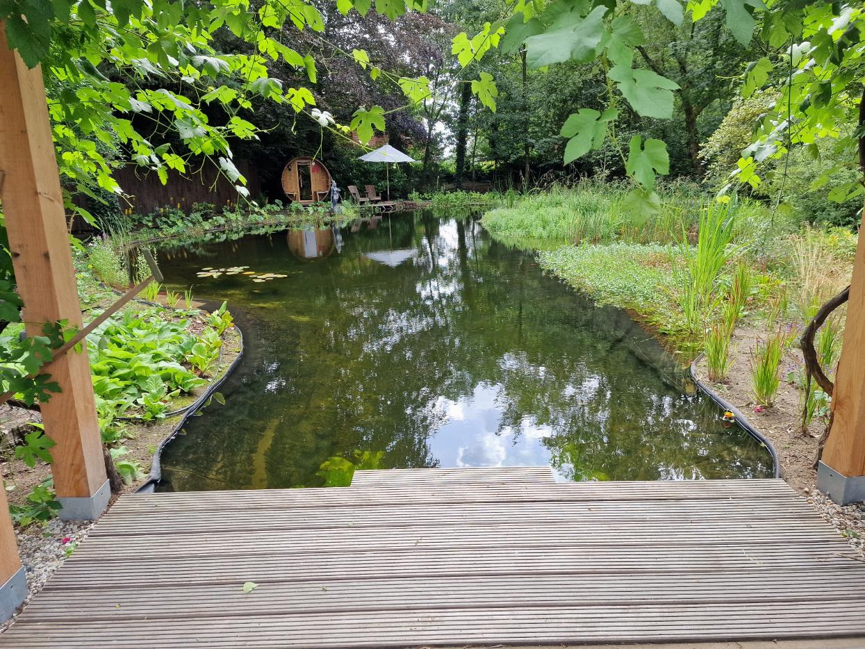 Unieke natuurlijke zwemvijver in Schalkhaar