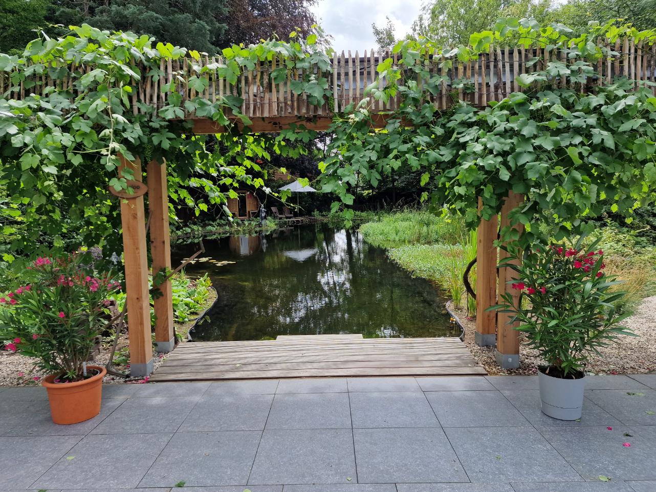 Unieke natuurlijke zwemvijver in Schalkhaar