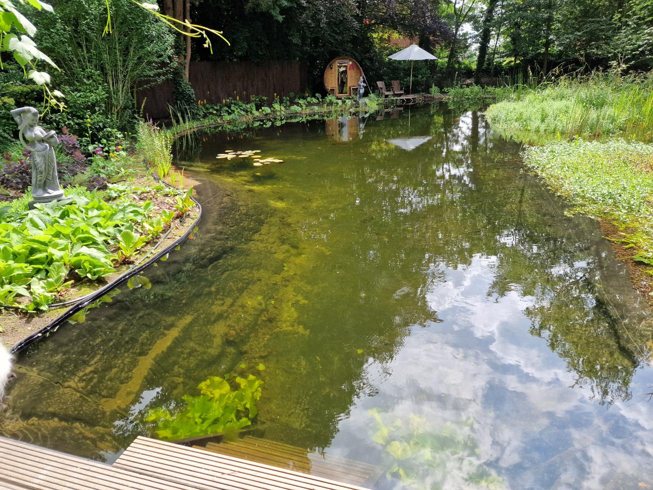 Unieke natuurlijke zwemvijver in Schalkhaar Zwemvijver Brummen