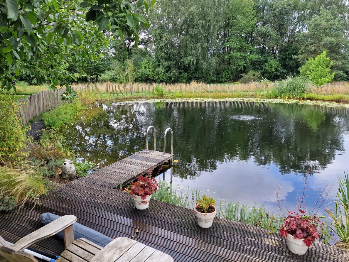 Unieke zwemvijver Winterswijk Zwemvijver Expert