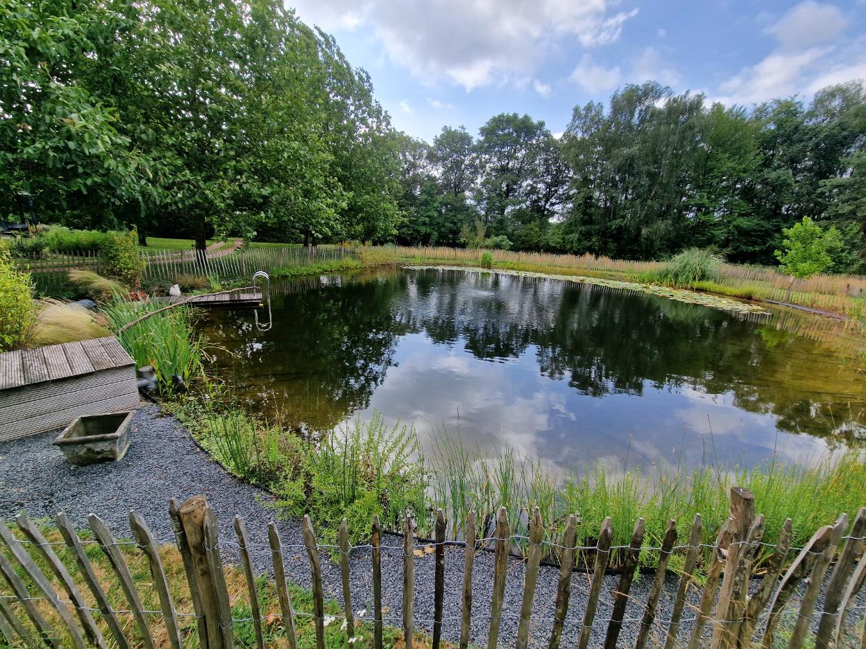 Unieke zwemvijver Winterswijk