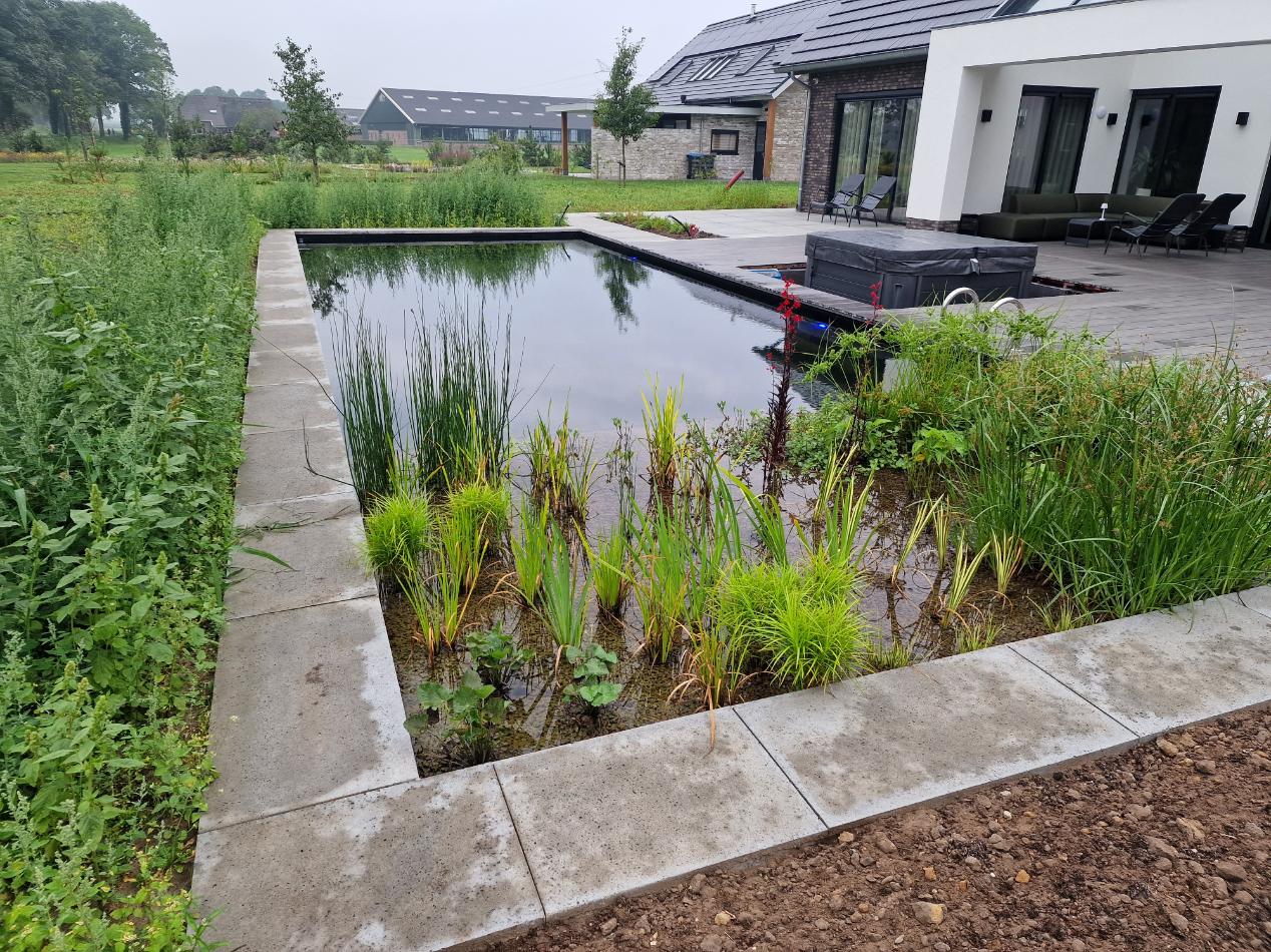 Strakke zwemvijver Warnsveld Zwemvijver kosten