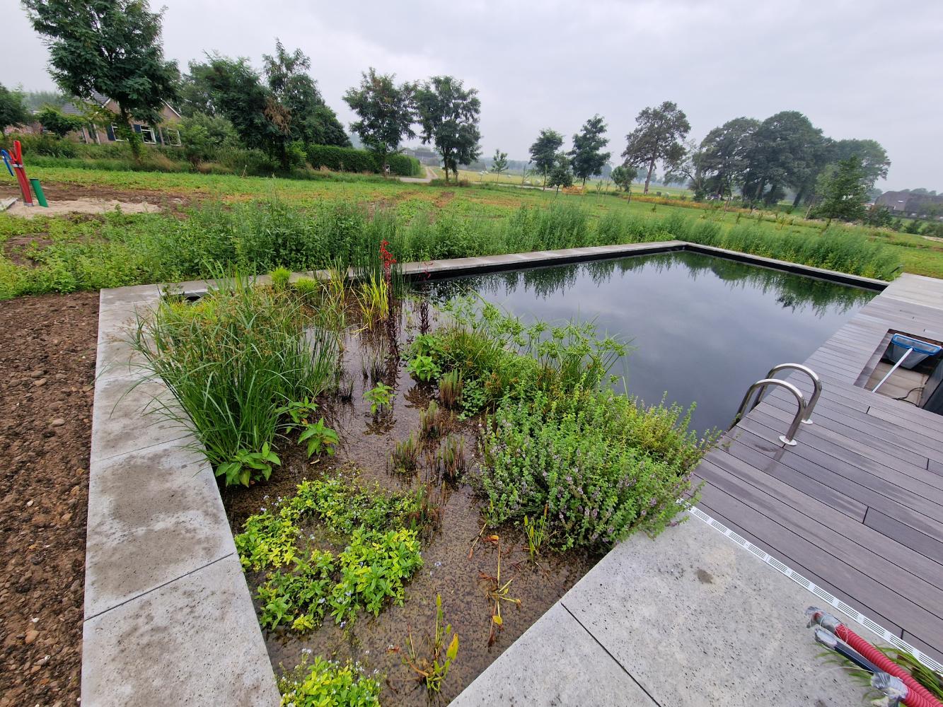Strakke zwemvijver Warnsveld Zwemvijver Culemborg