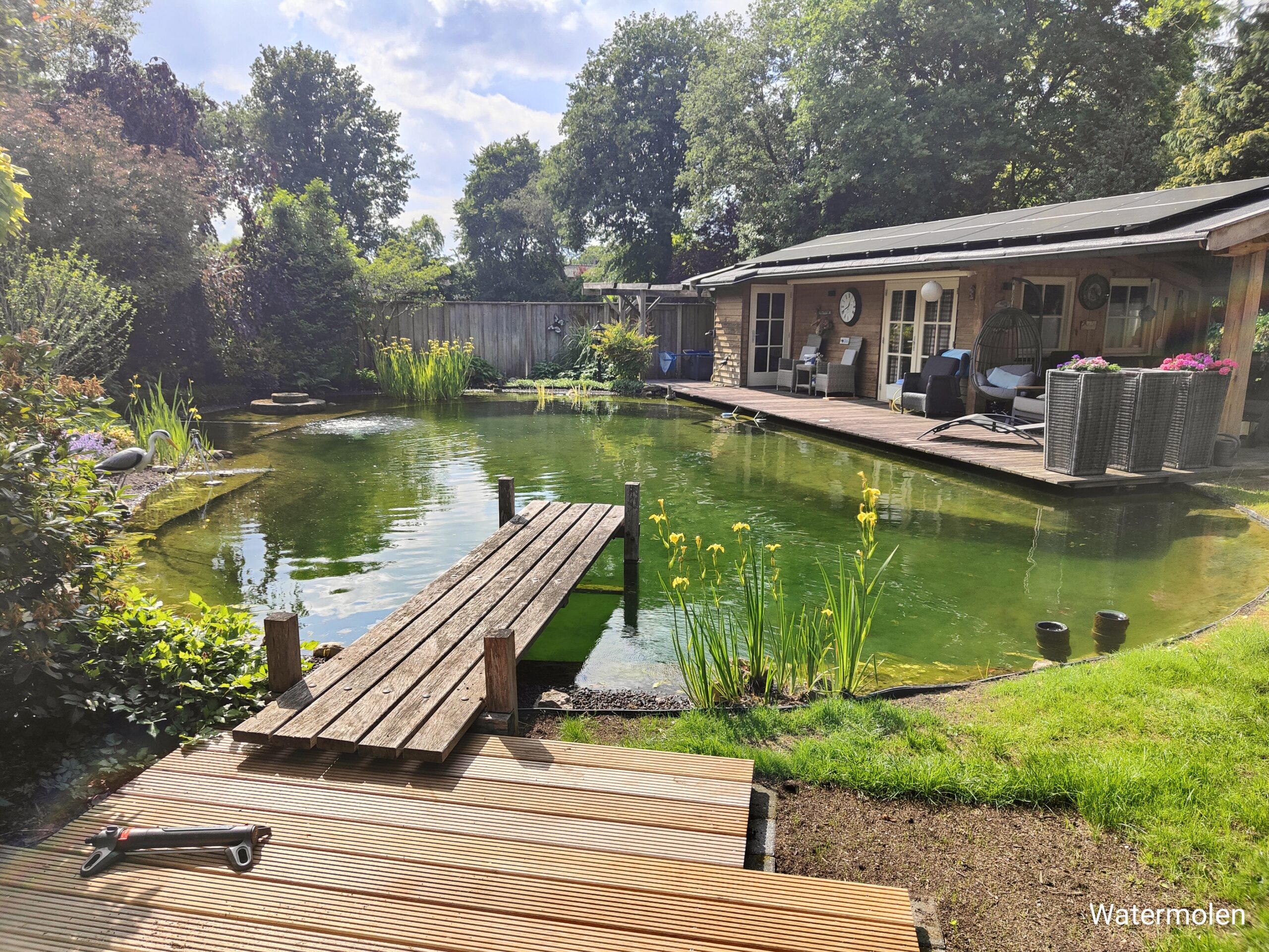 oplus_1179650 Vijver