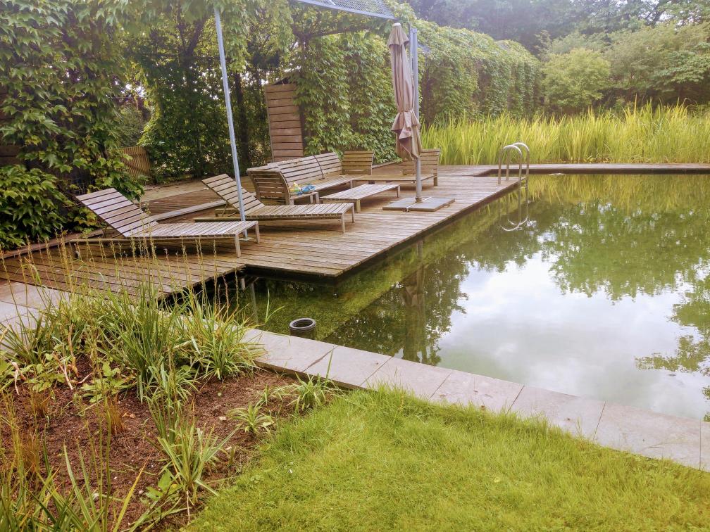 IMAG3397~2 Zwemvijver Beekbergen