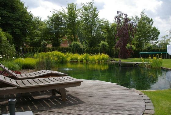 project01 Zwemvijver