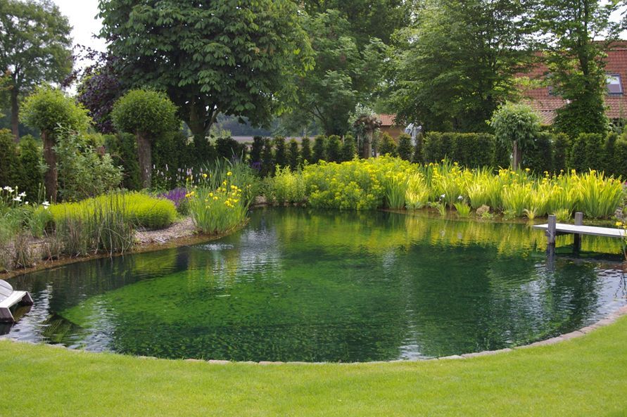 zwemvijver10 Zwemvijver aanleggen Epe