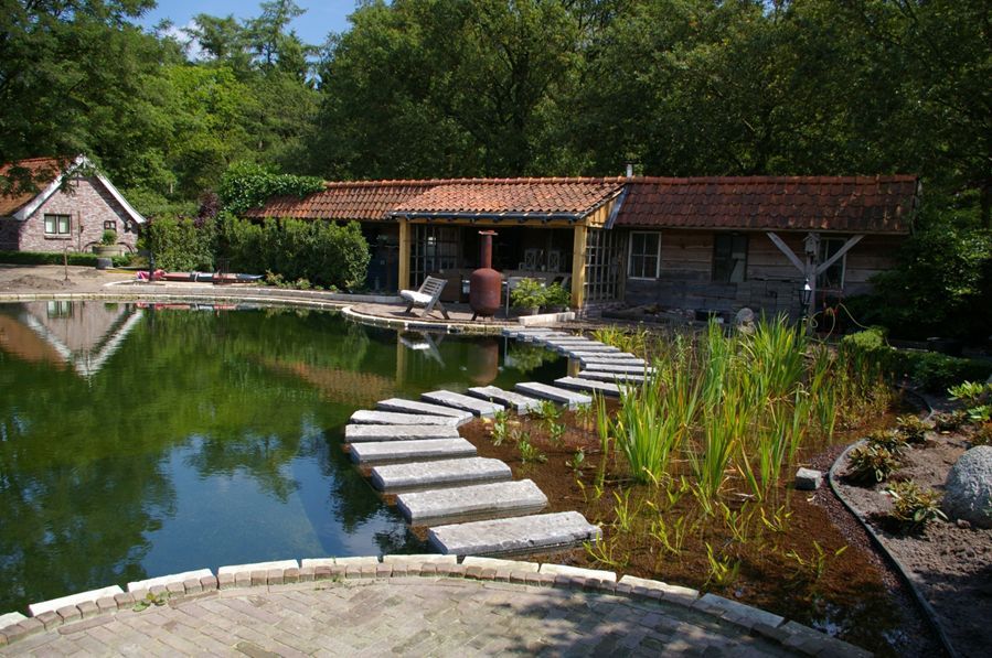 zwemvijver103 Vijver