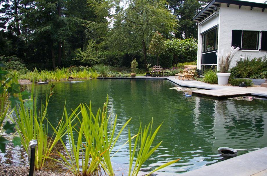 zwemvijver12 Zwemvijver in Deventer