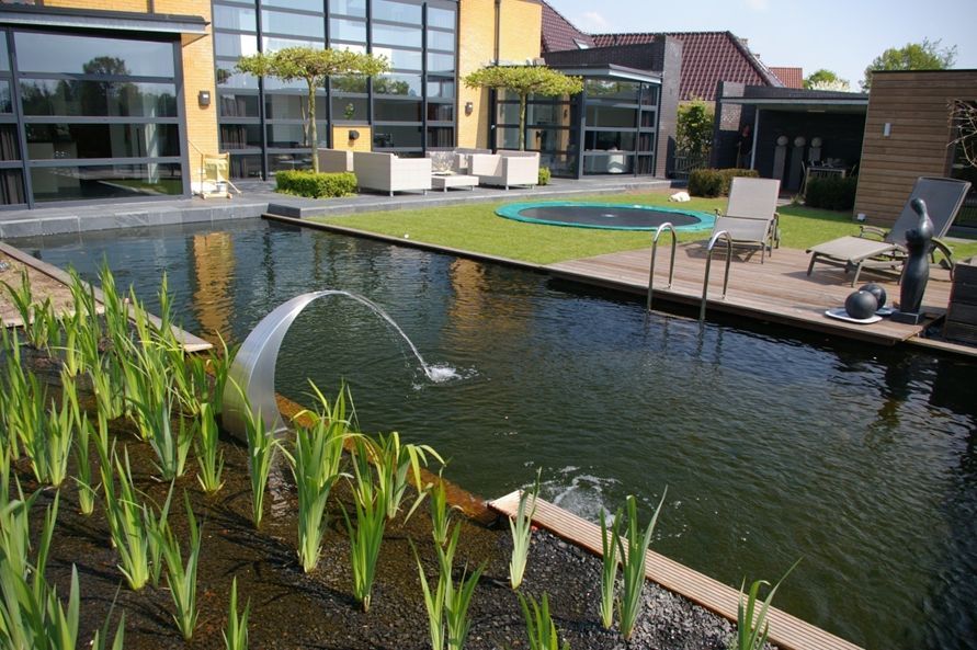 zwemvijver46 Zwemvijver aanleggen Naarden