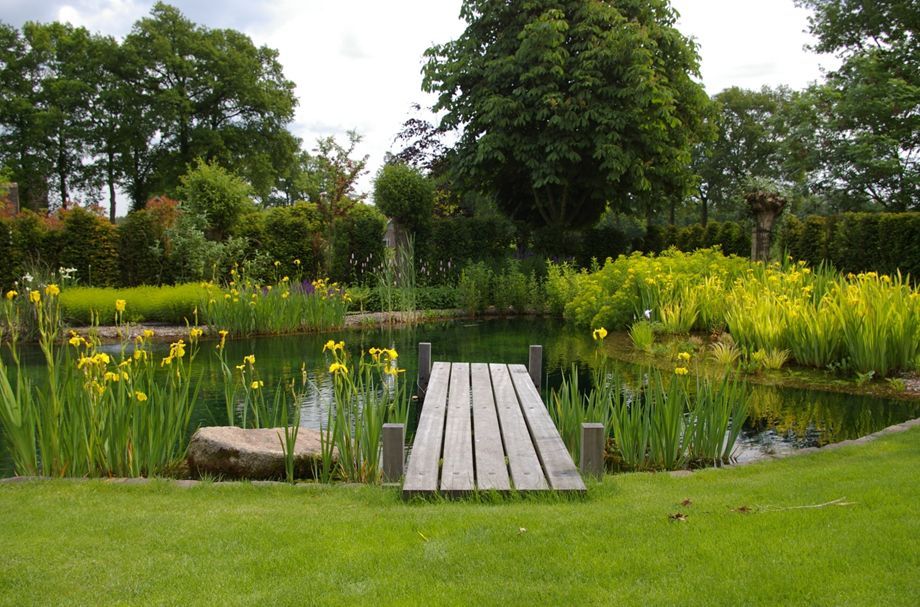 zwemvijver5 Zwemvijver in Epe