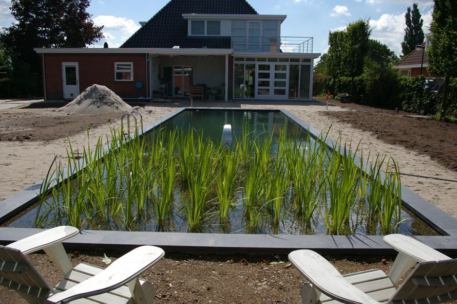 zwemvijver55 Wat kost een zwemvijver