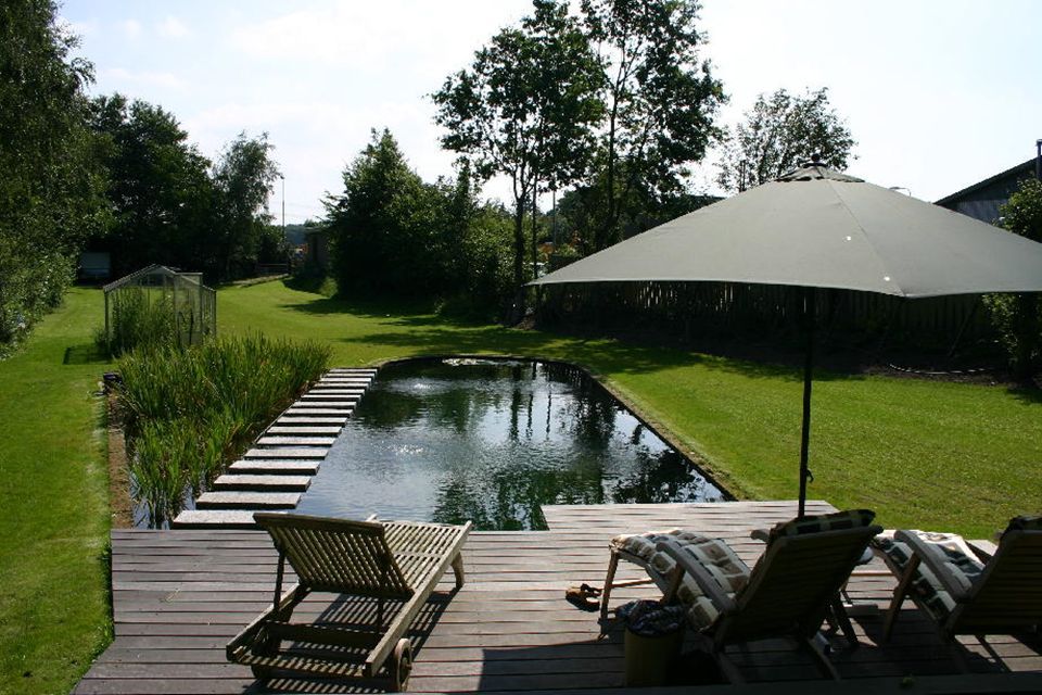 zwemvijver73 Zwemvijver aanleggen Lochem