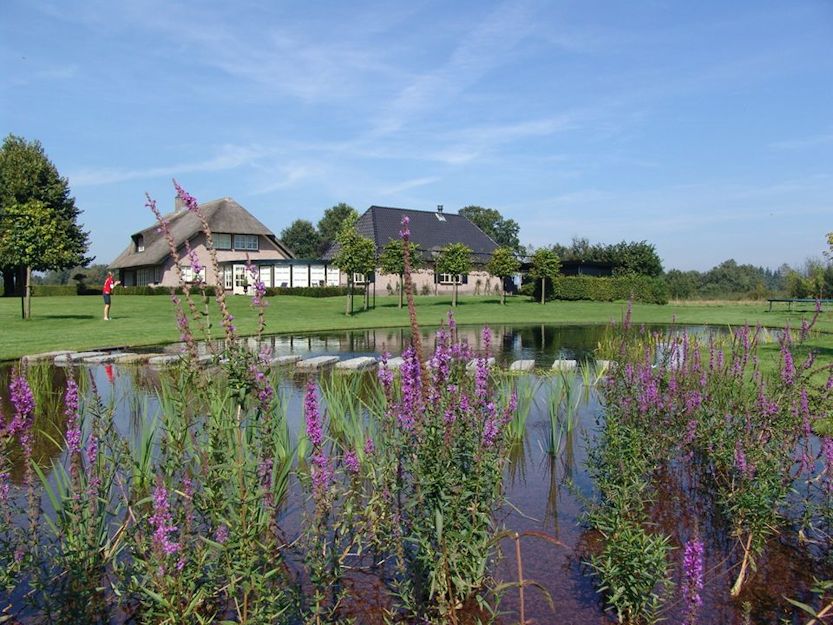 zwemvijver78 Zwemvijver aanleggen Amerongen