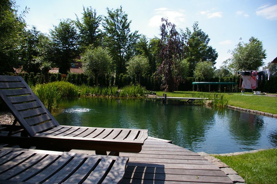 zwemvijver8 Vijver aanleggen