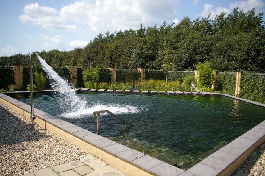 zwemvijver92 Zwemvijver aanleggen Bennekom